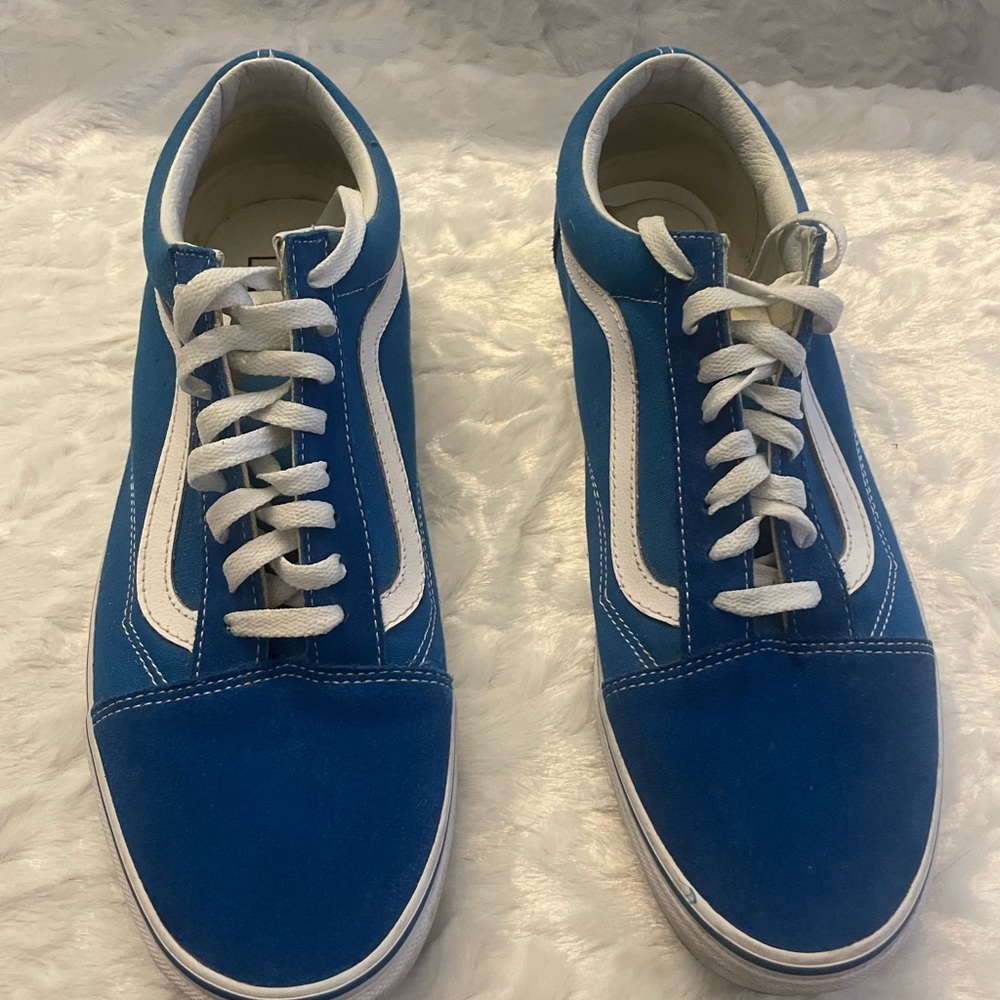 Vans Old Skool Skate Shoe